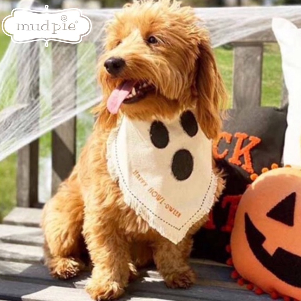 Mud Pie Halloween Dog Bandana